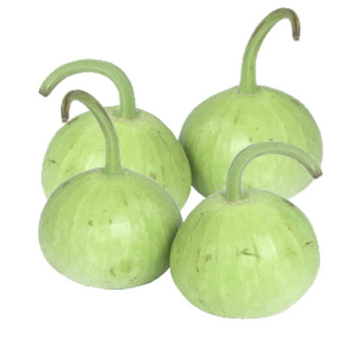ROUND DUDHI