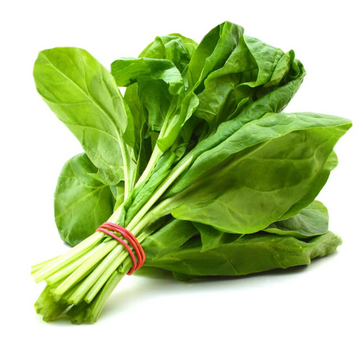 FRESH SPINACH 1PCS