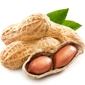 PEANUT 250G
