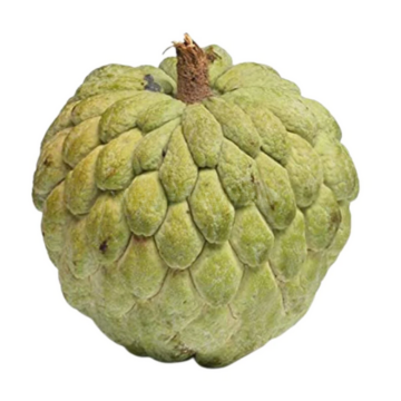 CUSTARD APPLE 1PCS